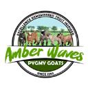 Amber Waves Pygmy Goats logo